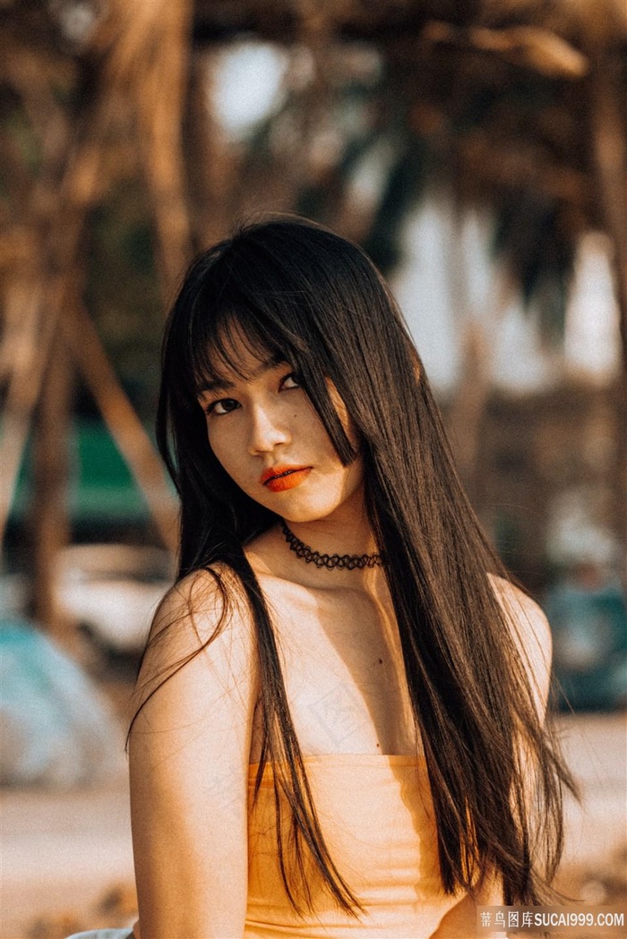 疯狂动物城2免费观看英文版电影