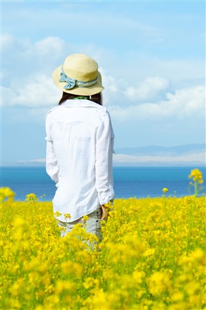 电视剧漂亮主妇