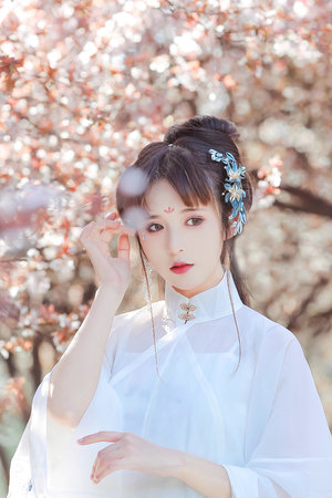 九江十二坊在线观看